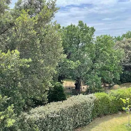 Belle Avec Piscine Interieure Et Piscine Exterieure Les Aiguiers וילה גריניאן